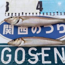 東二見でキス連投