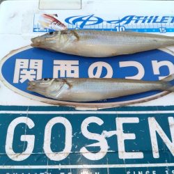 買い物待ち釣行