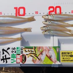 片男波はまだまだ数が少ない