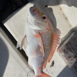 初めての銅付き仕掛け