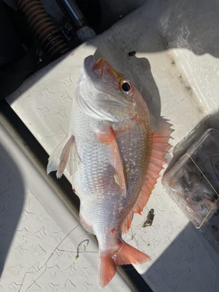 初めての銅付き仕掛け