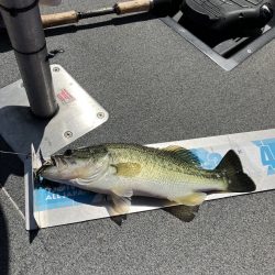 北山田サイト40、35cm