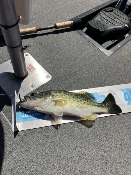 北山田サイト40、35cm