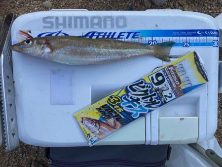 良型キスを求めて！