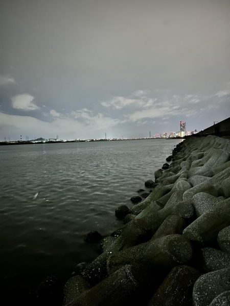 シーバス渋いー