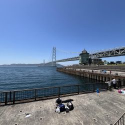 初夏の癒しのがっしー