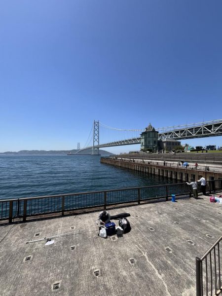 初夏の癒しのがっしー