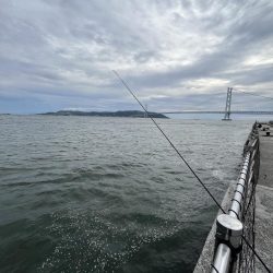 久しぶりのアジ