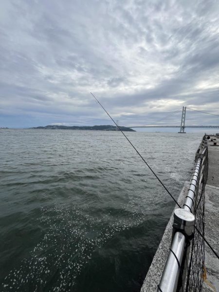 久しぶりのアジ