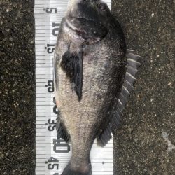 イチノ兄弟、釣果！