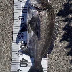 年無し10匹‼️