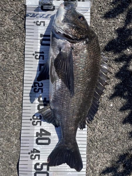 年無し10匹‼️