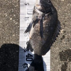 イチノ兄弟、釣果!