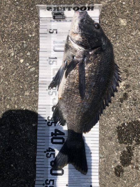 イチノ兄弟、釣果！