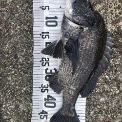 イチノ兄弟、釣果!