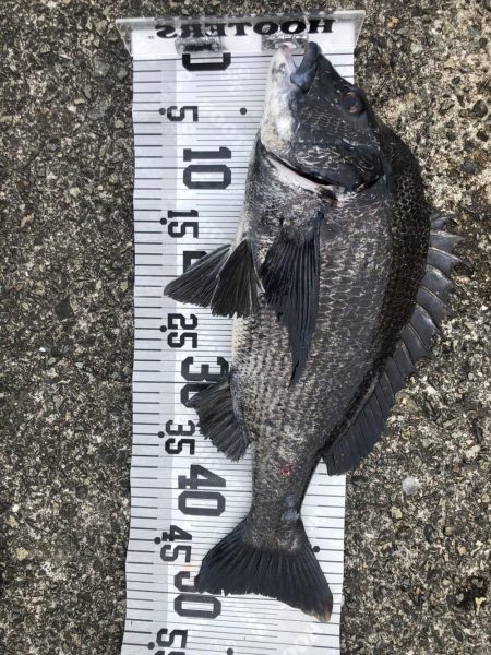 イチノ兄弟、釣果！