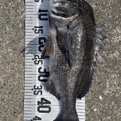 イチノ兄弟、釣果!