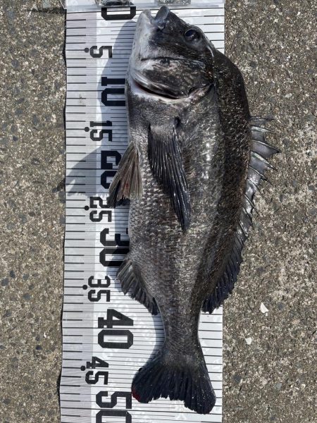 イチノ兄弟、釣果!