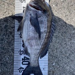 イチノ兄弟、釣果!