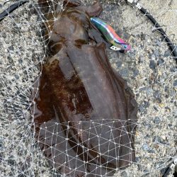 風裏に誘われて