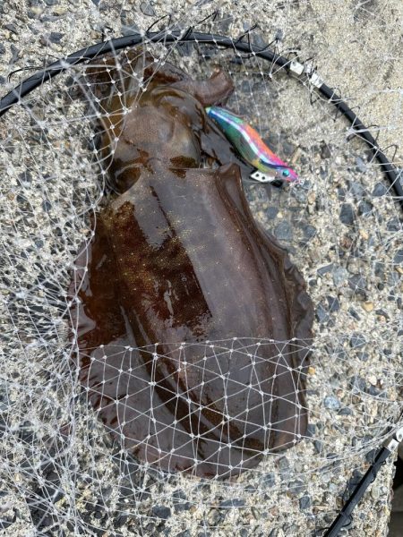 風裏に誘われて