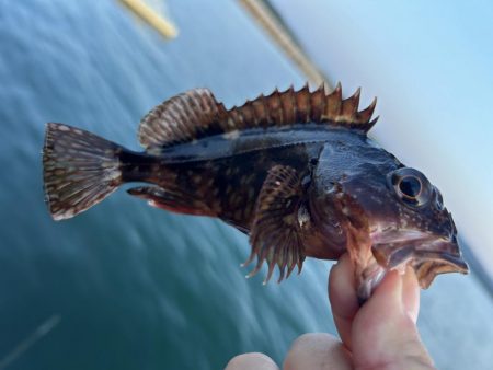 ガッシーは裏切らない