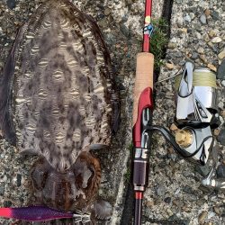 本命かと・・・?