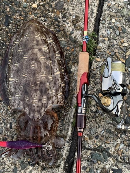 本命かと・・・?