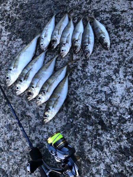 またしても爆風アジング