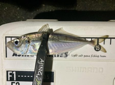 アジングイベント04