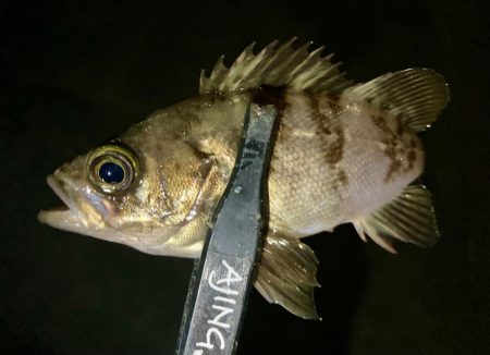 メバリングイベント01