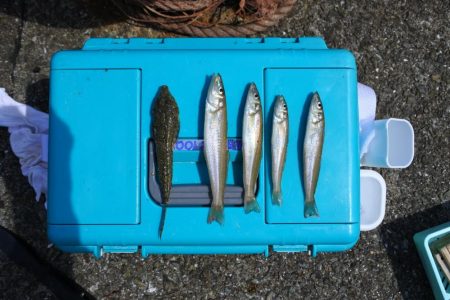 キス釣り　天候は良かったが