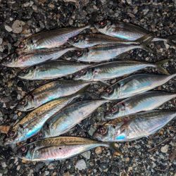 フロートアジング