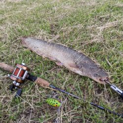 今日もちょっとだけ寄り道