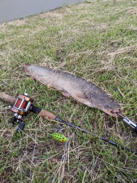 今日もちょっとだけ寄り道