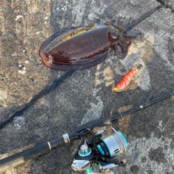 やっぱりアナタですね…