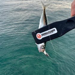 仕事終わってからの🎣