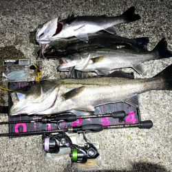 ライトゲームタックルシーバスゲーム