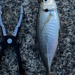 クーラーいっぱい😆