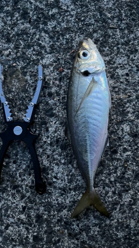 クーラーいっぱい😆