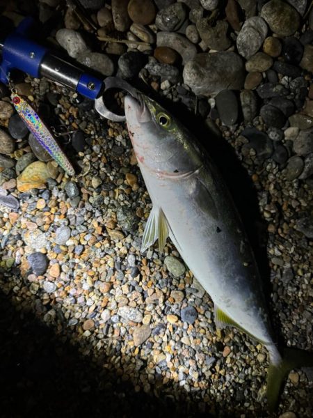 今日も青物狙い