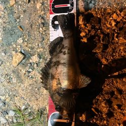 イベント入れ替えならず