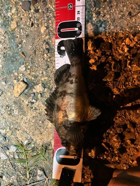 イベント入れ替えならず