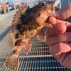 一年以上ぶりに来てみたら値上がりしてました!