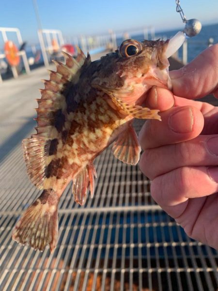 一年以上ぶりに来てみたら値上がりしてました…