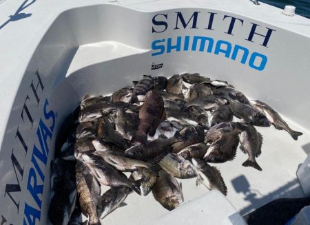 フルコンタクト　チヌ落とし込み　チニング