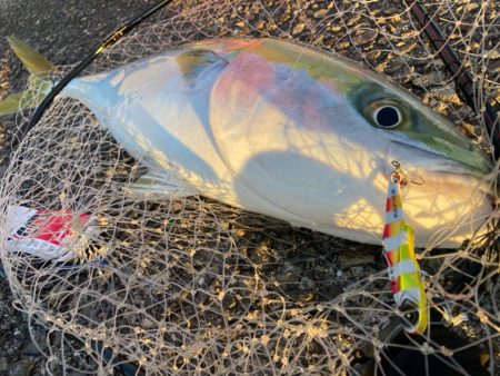 やっと春が来たにゃ!