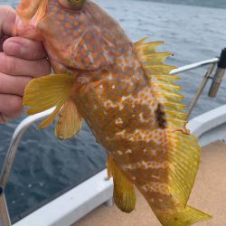 毎年恒例の丹後SLJ