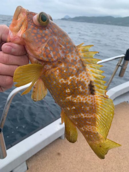 毎年恒例の丹後SLJ