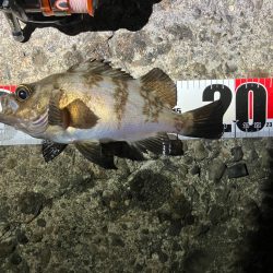 とりあえずリミットメイク